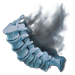 Umbral Vertebrae